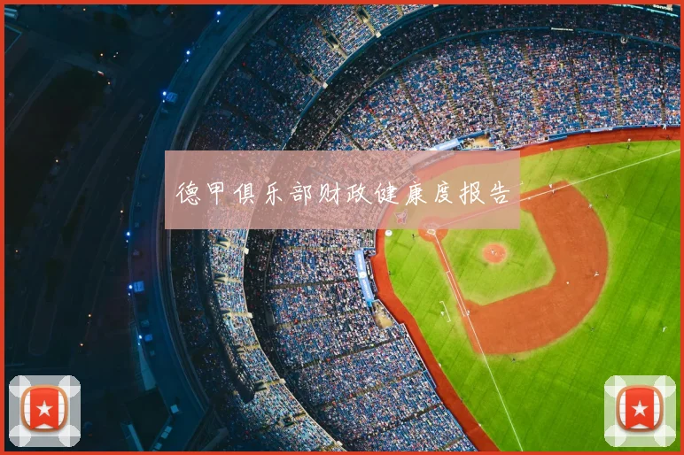 德甲俱乐部财政健康度报告