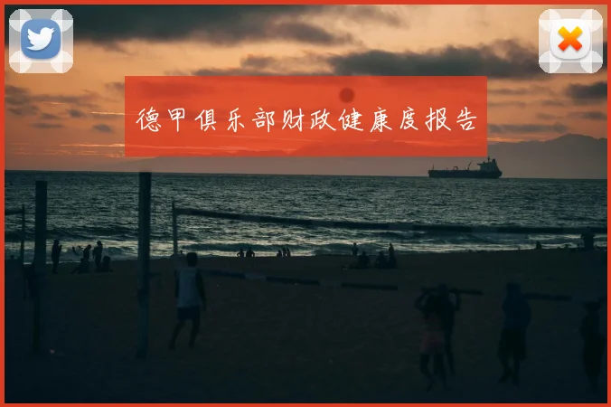 德甲俱乐部财政健康度报告