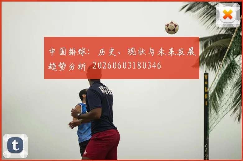 中国排球：历史、现状与未来发展趋势分析_20260603180346
